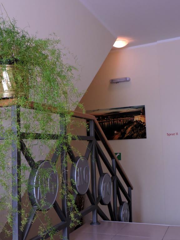 B&B Zmajevo Gnezdo 021 Sremska Kamenica Extérieur photo
