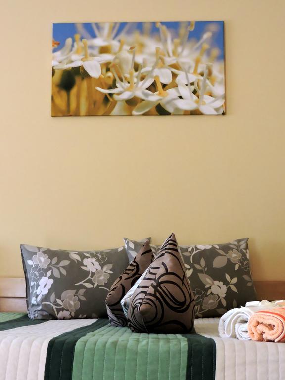 B&B Zmajevo Gnezdo 021 Sremska Kamenica Extérieur photo
