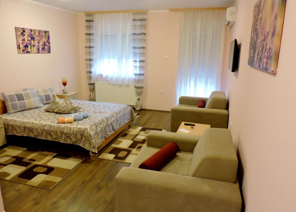 B&B Zmajevo Gnezdo 021 Sremska Kamenica Extérieur photo